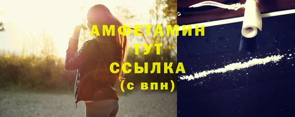амф Козловка