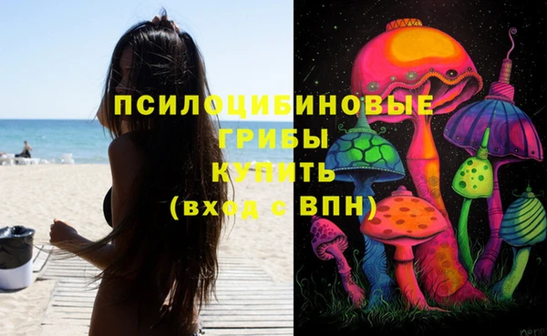 амф Козловка