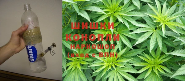 амф Козловка