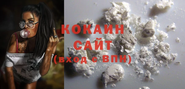 амф Козловка