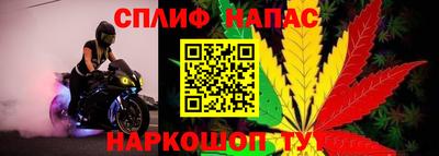 прущие грибы Беслан