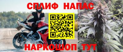 прущие грибы Беслан