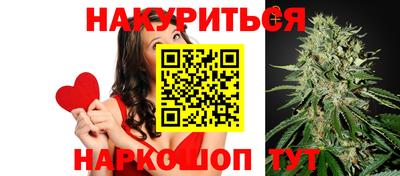 гидра Волгодонск