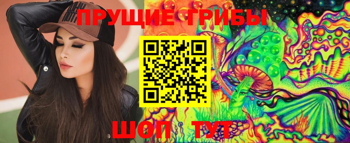 Дербент  Псилоцибиновые грибы мицелий  Вход с VPN 